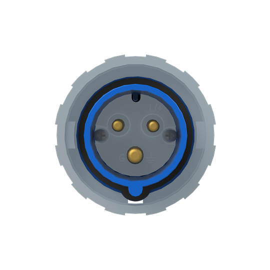 216P6W