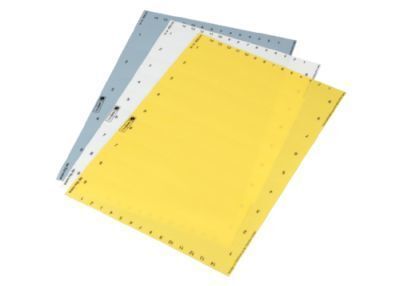 ES-A4 22,85x109 Einschubstreifen SPS perforiert gelb