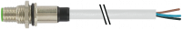 M12 Flanschstecker A-cod. freies Ltg.-ende HWM 7000-13607-2190200