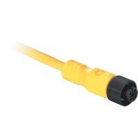 889 DC Micro Cable 889D-F4JBP3M-1