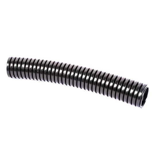 PACH54/BL/25M