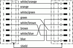 M12 St. 0° / RJ45 St. 0° geschirmt Ethernet