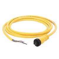 889 Mini Cable 889N-F5AE-30F