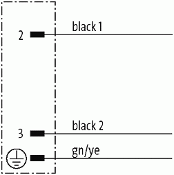 M12 St. ger.mit freiem Leitungsende 3p.Dual-Keyway