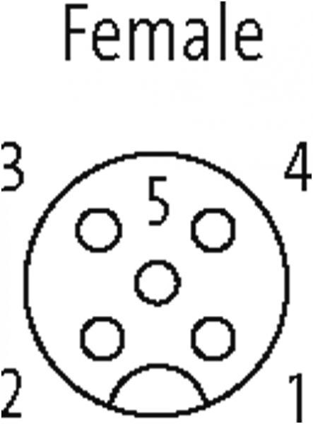 M12 Bu. gew. geschirmt mit freiem Ltg.-ende V2A