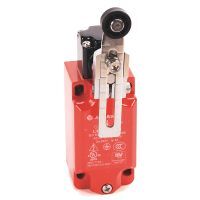 Large Metal IEC Safety Limit Switches 440P-MALS11E