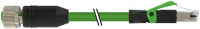 M12 Bu. 0° D-kod. / RJ45 St. 0° geschirmt 7000-44621-7961800