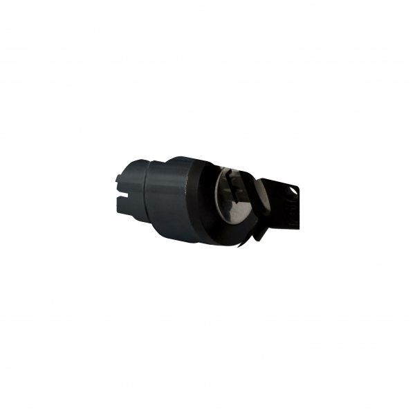 files-p_Doc_Ref-PF152064-p_File_Type-rendition_4000_png