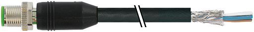 M12 St. 0° gesch. D-cod. freies Ltg-ende EN