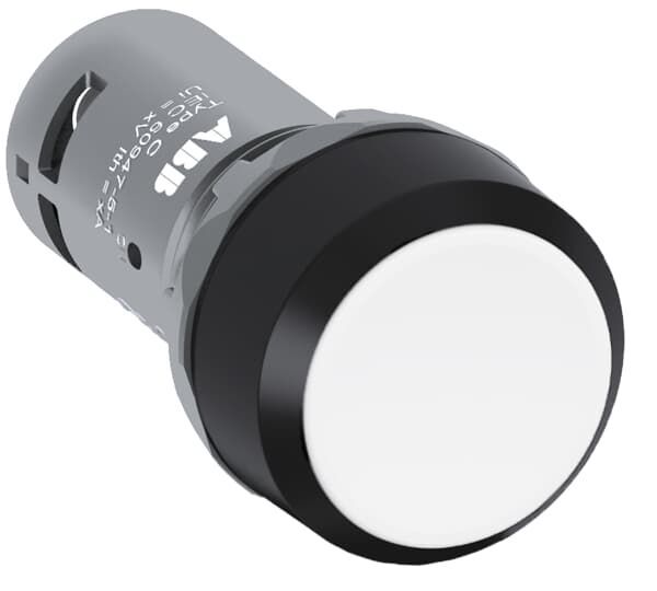 CP1-10W-01