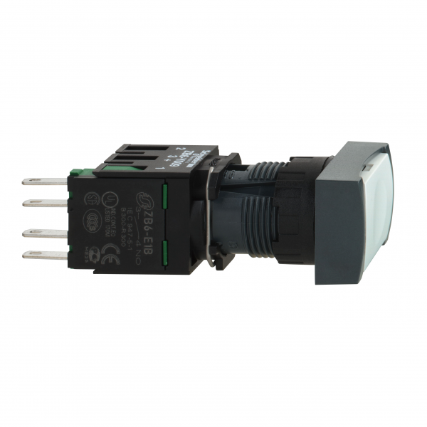 files-p_Doc_Ref-110556SE-p_File_Type-rendition_4000_png
