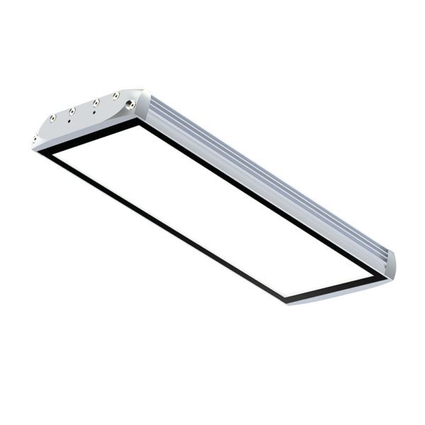 FIELDLED EVO 702_150 Aufbau, 702 mm, 24V DC, M12 A-kodiert, rückseitig