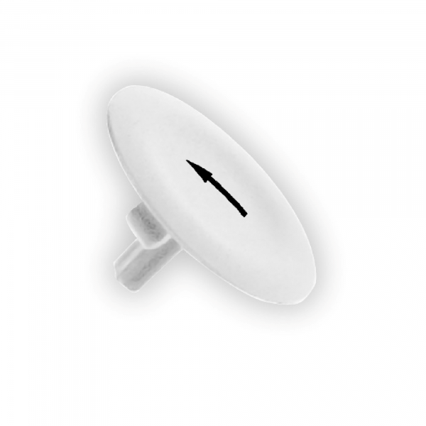 files-p_Doc_Ref-PG113519-p_File_Type-rendition_4000_png