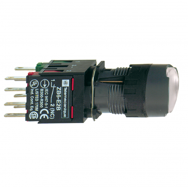 files-p_Doc_Ref-PF151557-p_File_Type-rendition_4000_png