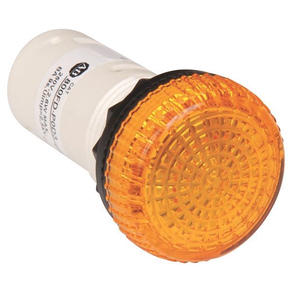 22mm Pilot Light 800F PB