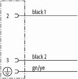 M12 Bu. 0° freies Ltg.-ende 3p.Dual-Keyway