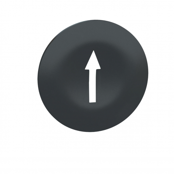 files-p_Doc_Ref-PF132113-p_File_Type-rendition_4000_png