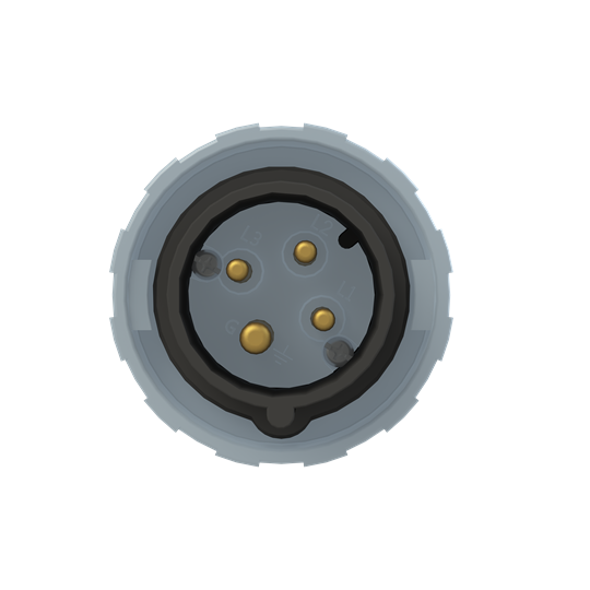 316P5W
