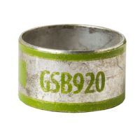 GSB920 7TAI029070R0038